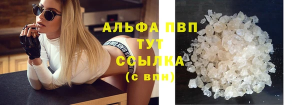 СК Билибино