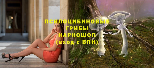 spice Ладушкин