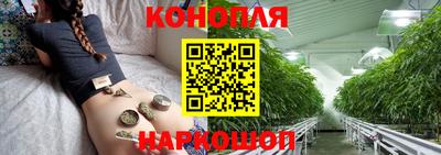 Альфа ПВП Камышлов