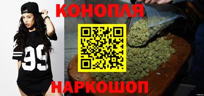 Альфа ПВП Камышлов