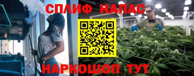 Альфа ПВП Камышлов